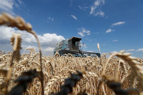 Rússia pode exportar 60 milhões de toneladas de grãos nesta temporada