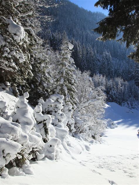 Langlaufen in Ischgl Galtür Tipps Kurse und Events