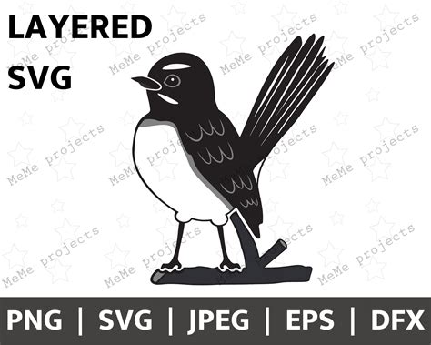 Willy Wagtail Layered Willie Wagtail Cricut Svg Australian Etsy Australia