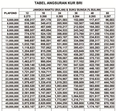 Tabel Pinjaman BRI Umum 2024 Pengajuan Rp100 Juta Hingga Rp500 Juta