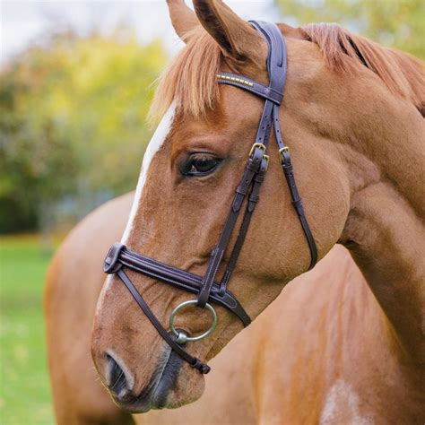 Show Jumping Bridle Brass Active Equine