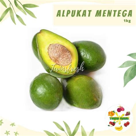 Jual Alpukat Mentega Lampung 1 Kg Shopee Indonesia