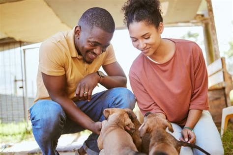 Les races de chiens à éviter pour les familles selon un