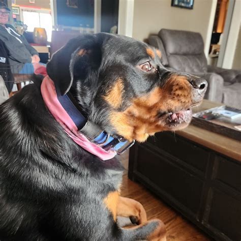 Hudson - HCPO CAPTAIN COMPLETES FBI NATIONAL ACADEMY Acting Hudson