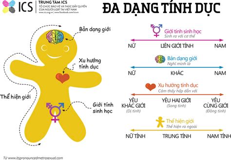 Các Loại Giới Tínhxu Hướng Tính Dục