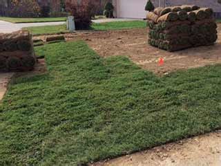 Sod Installation | Toby's Lawn & Landscape