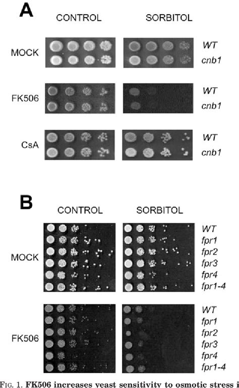 Figure From The Immunosuppressant Fk Uncovers A Positive