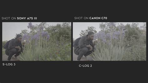 Canon C70 Vs Sony A7s Iii C Log Vs S Log Youtube