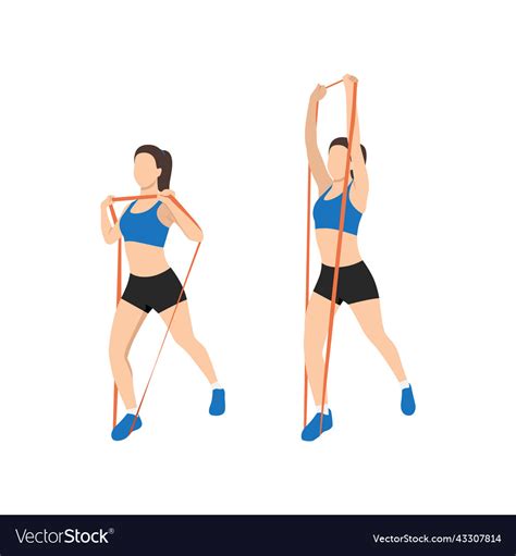 Woman Doing Overhead Press With Resistance Band Vector Image