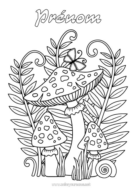 Coloriage N1912 Automne Champignon