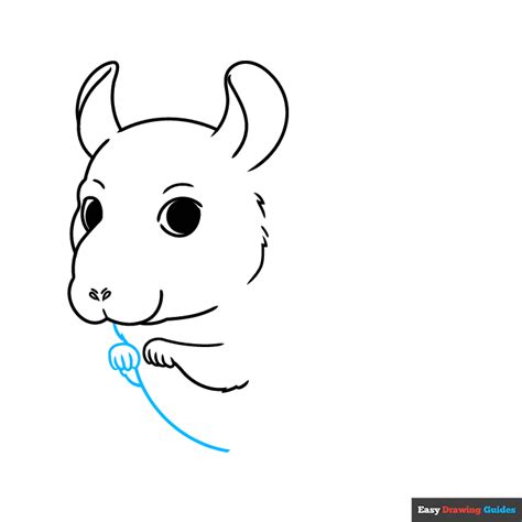 How To Draw A Chinchilla Really Easy Drawing Tutorial