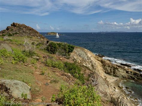 Where Can I Hike in St. Maarten / St. Martin? The Best Hiking Trails on ...