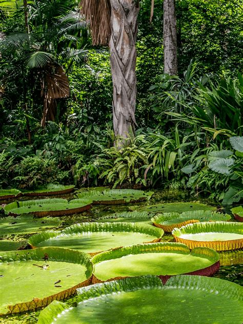 Destinos Imperd Veis De Ecoturismo No Brasil Bonitour Ag Ncia De