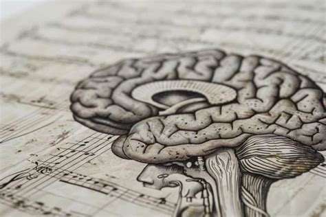 How The Brain Predicts Music - Neuroscience News