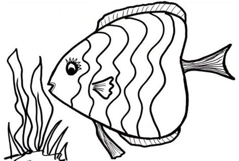 8+ Fish Coloring Pages - JPG, AI Illustrator