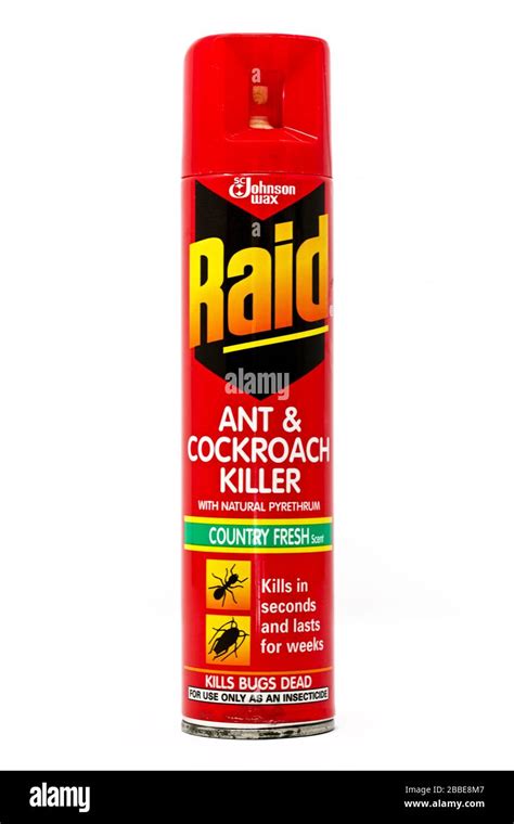 Raid Ant Plus Cockroach Killer Stock Photo - Alamy