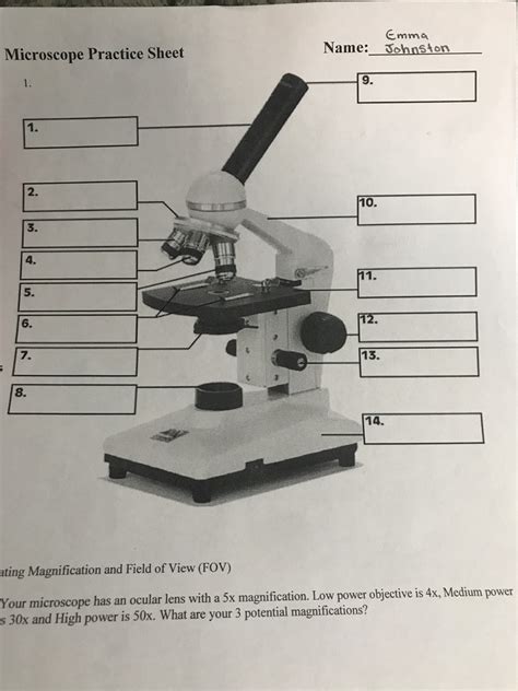 Microscope Parts Diagram Quizlet