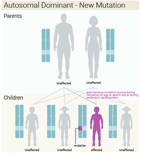 Treacher Collins syndrome causes, signs, symptoms, diagnosis & treatment