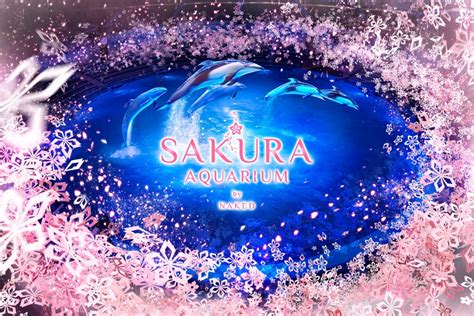 Sakura Aquarium By Naked