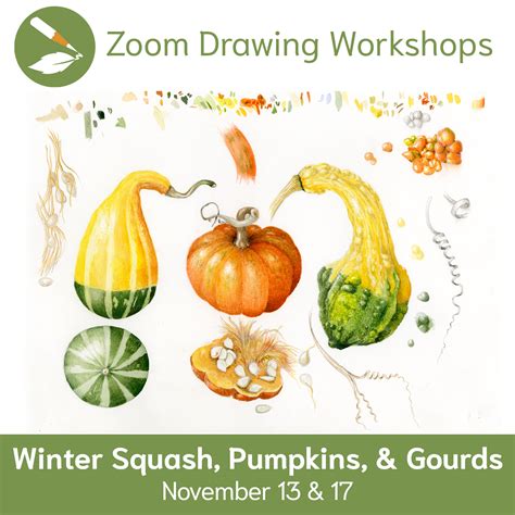 Recording of Zoom Workshop 78: Winter Squash, Pumpkins, & Gourds - Draw