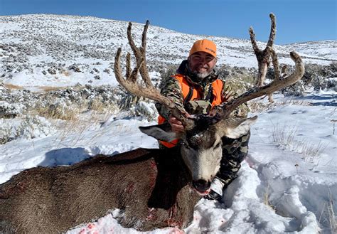 Colorado Mule Deer Tag Warehouse Of Ideas