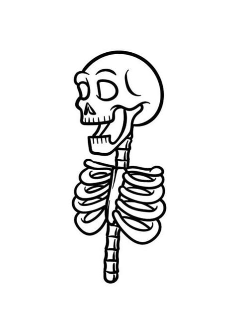 How To Draw A Skeleton Cartoon A Step By Step Guide