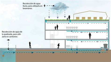 Corte de recolección de aguas Casa de las artes en 2024 Ahorro de