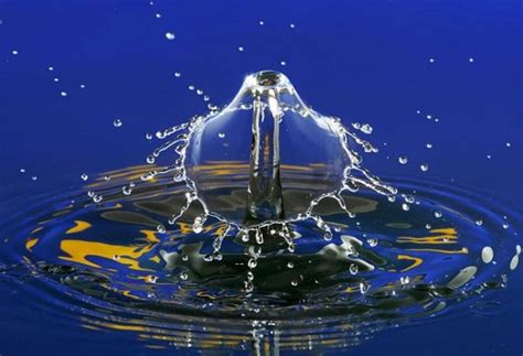 Water Drop Art - Gallery | eBaum's World