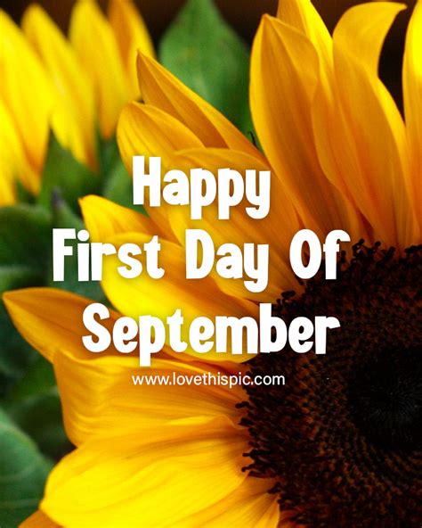 Sunflower Closeup Happy First Day Of September Pictures Photos And