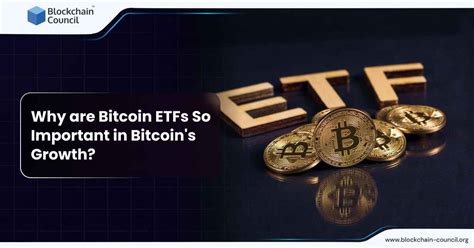 Why Are Bitcoin ETFs So Important In Bitcoin S Growth Blockchain Council