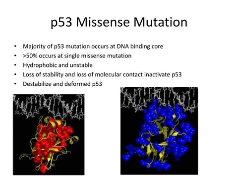 PPT P 53 Missense Mutation C Ancer PowerPoint Presentation Free