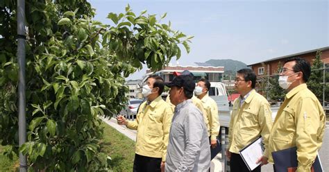 충주·제천 과수농가 5곳서 과수화상병 확진도 공적 방제 착수