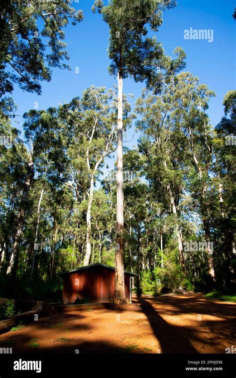 Warren National Park Western Australia Stock Photo Alamy