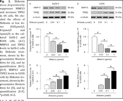 Figure 1 From TIPE2 Mediates The Suppressive Effects Of Shikonin On