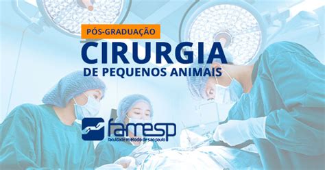 Curso P S Gradua O De Cirurgia Em Pequenos Animais