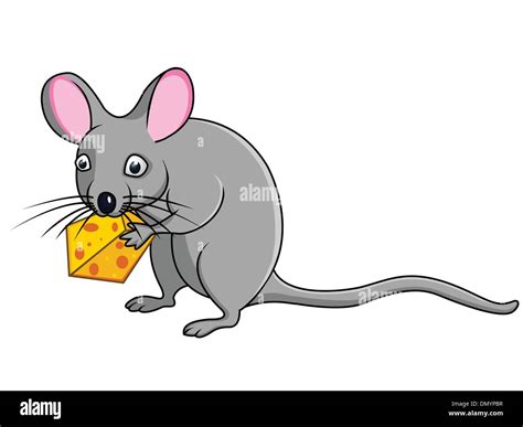 Rat With Cheese Stock Vector Image And Art Alamy