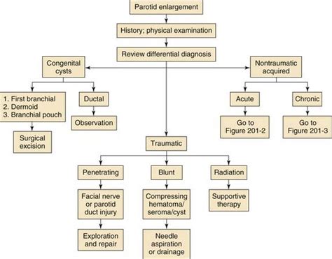 Salivary Gland Disease In Children Ento Key