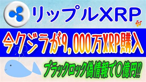 【リップル（xrp）】大口投資家（クジラ）によって9000万xrp購入が発見！【仮想通貨】xrp Etf申請は、たったの500ドルで誰でも