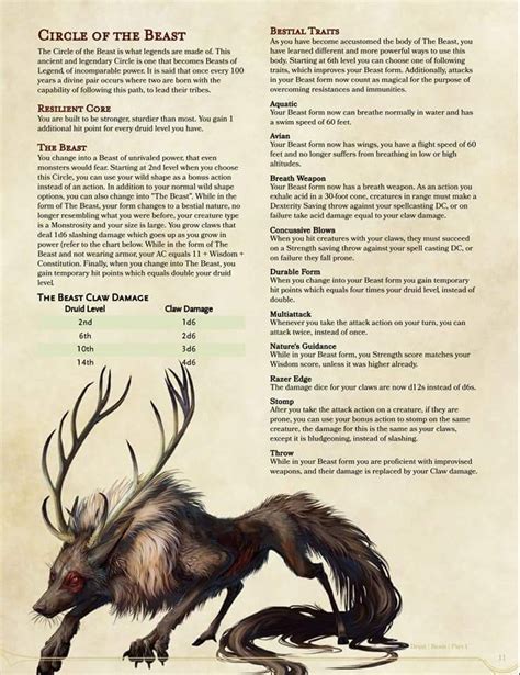 Druid Guide 5e Shepherd Yoiki Guide