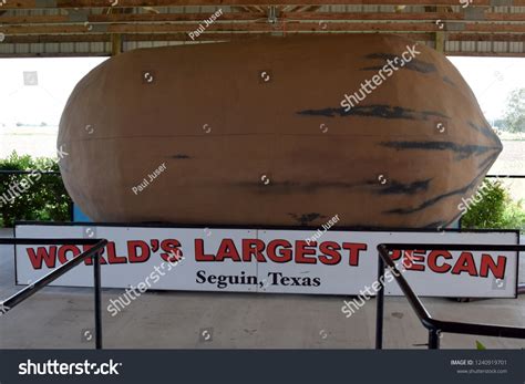 Seguin Txusa102418 Worlds Largest Pecan Statue Stock Photo 1240919701