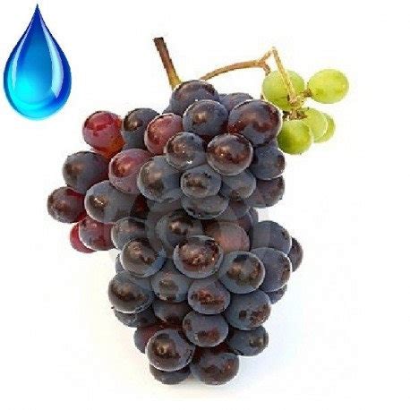 INCI Grape seed Oil Glycereth 8 Esters МХ и Густав Геесс Украина