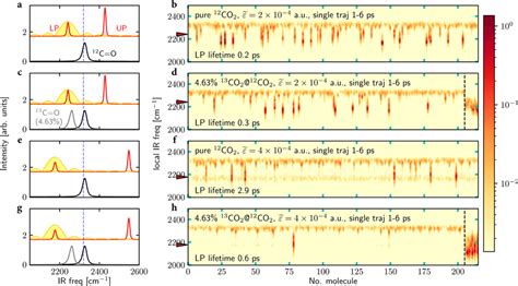 Rabi Splitting And Selective Polariton Energy Transfer A Equilibrium Ir