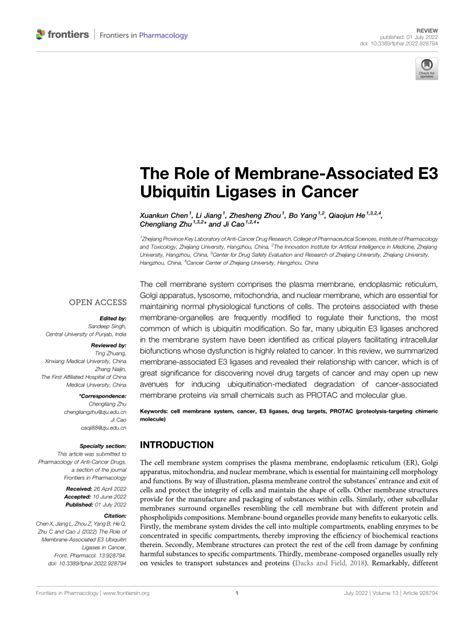 PDF The Role Of Membrane Associated E3 Ubiquitin Ligases In Cancer