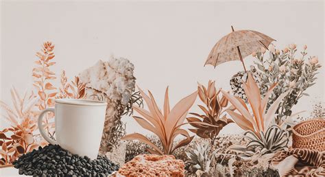 What Is Counter-Storytelling and How Does It Work? → Question