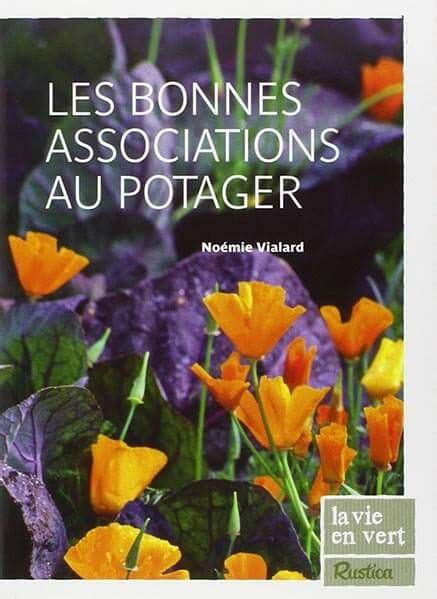 Les Associations De L Gumes Dans Un Potager En Permaculture En