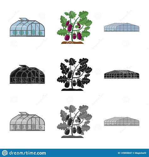 Vector Illustration Of Greenhouse And Plant Logo Collection Of