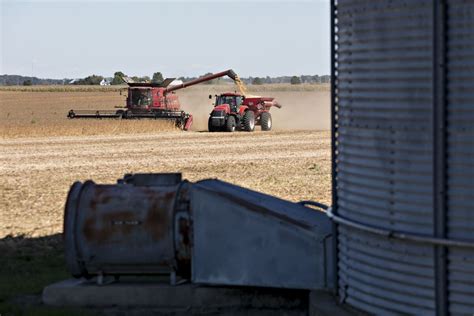 Extreme Drought Conditions Creep Into Soybean States Bloomberg