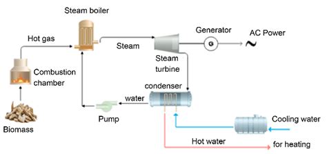 How Biomass Power Plant Works