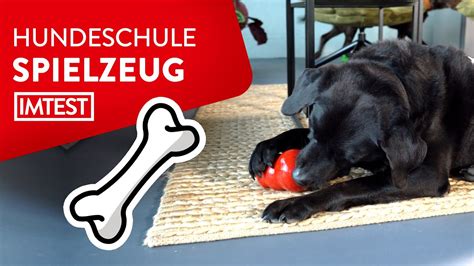 Hund erziehen besten Spiele für den Hund Mit Trainer Tipps