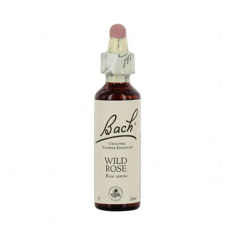 Fleurs De Bach Original Wild Rose Eglantine